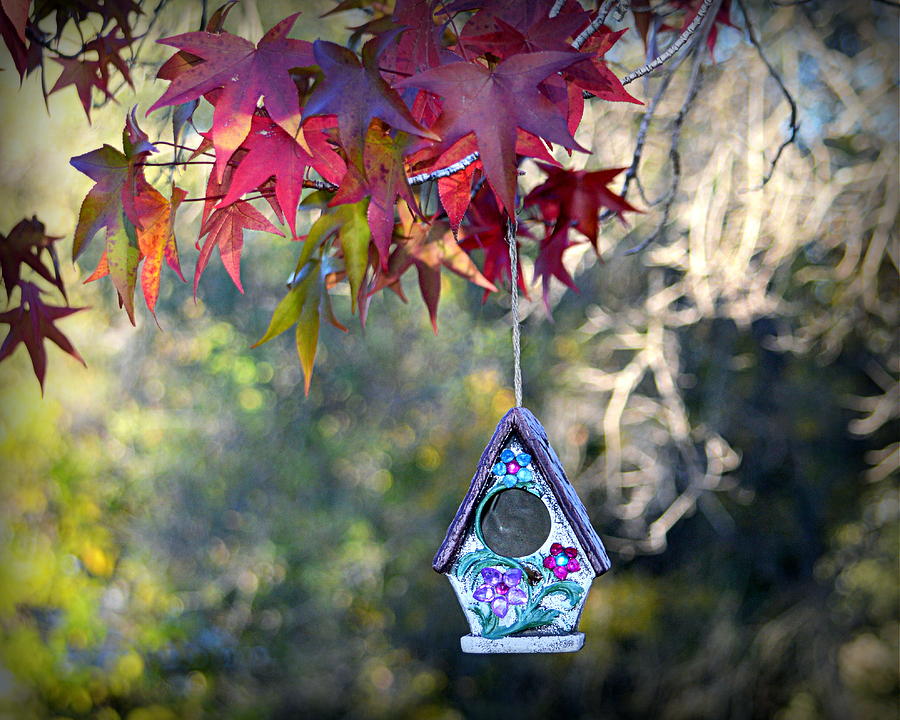 Birdhouse Under the Autumn Leaves Photograph by AJ Schibig
