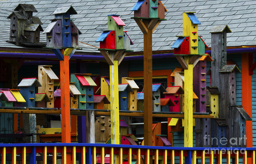 Birdhouses For Colorful Birds 1 Photograph by Bob Christopher