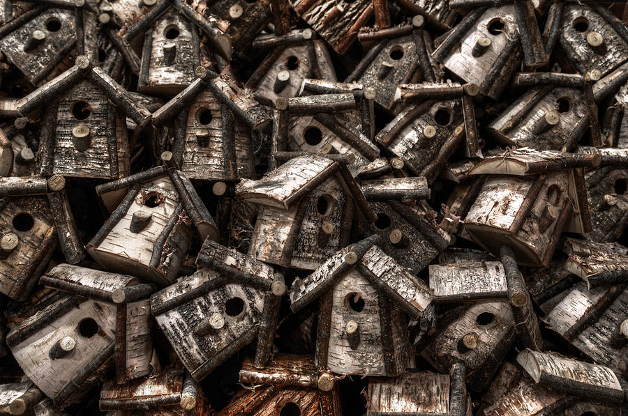 Birdhouses Photograph By Geoffrey Coelho Fine Art America