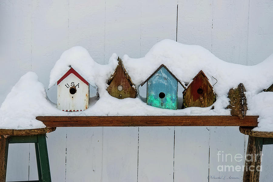 Birdhouses in the Snow Photograph by David Arment