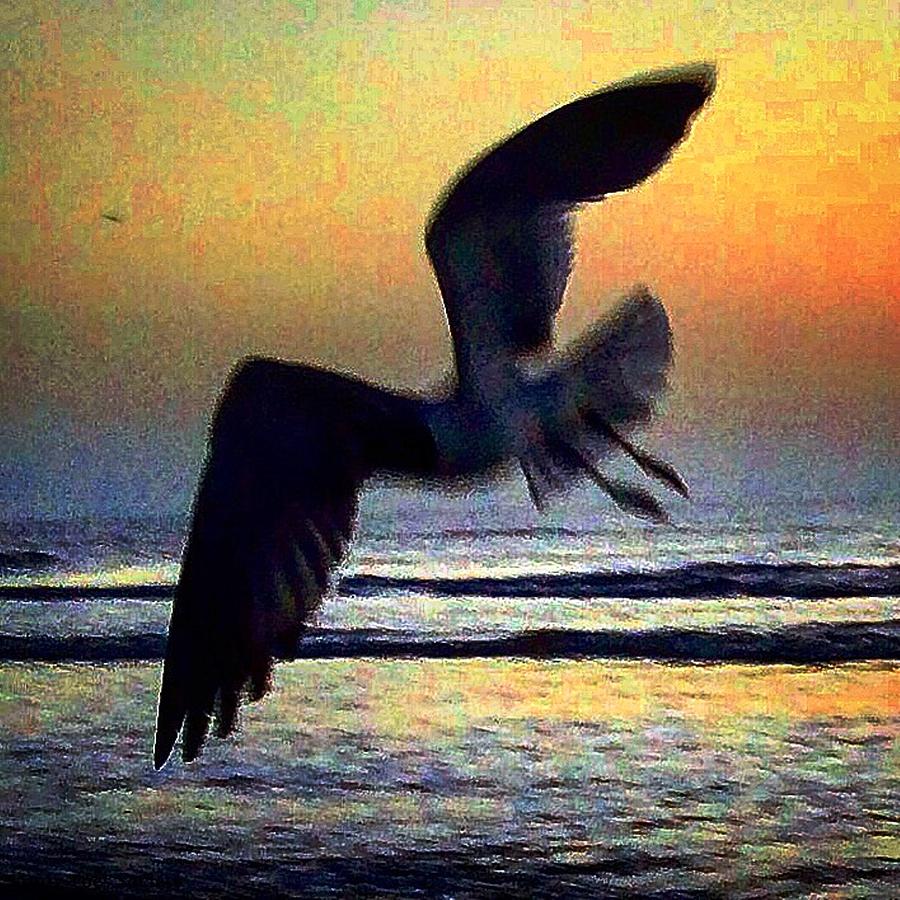 Birdie on the Wing Photograph by Mary Lewis | Fine Art America