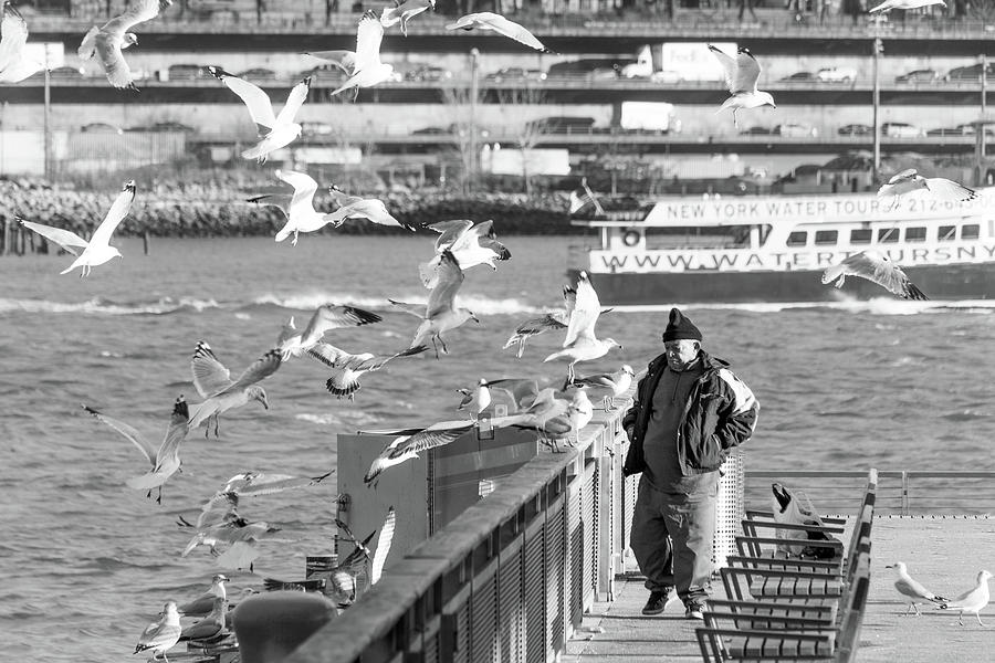 Birdman and Seagulls Photograph by SR Green