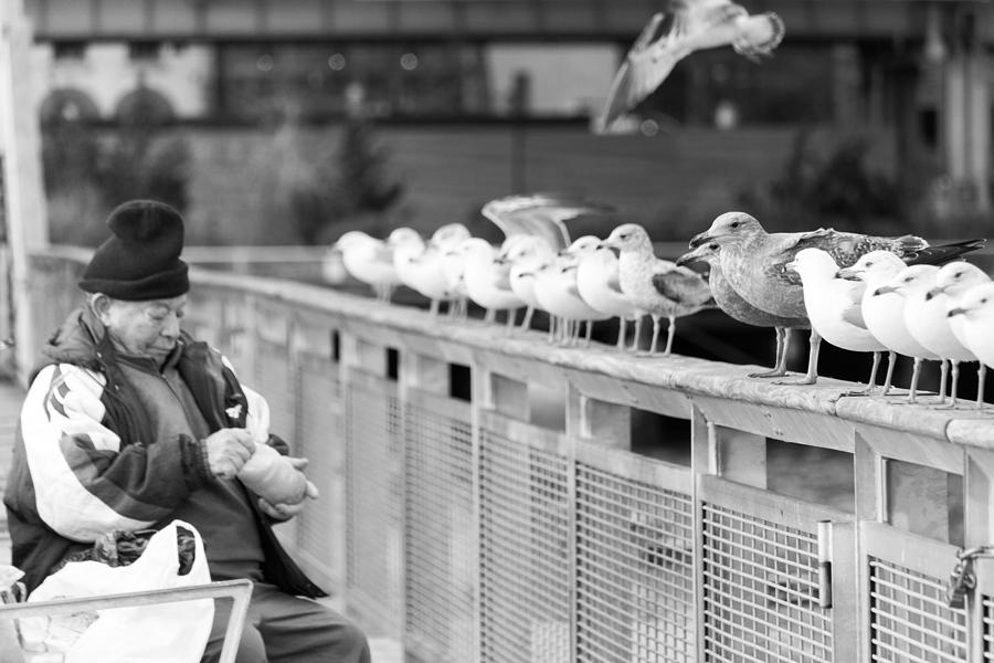 Birdman of Lower Manhattan Photograph by SR Green