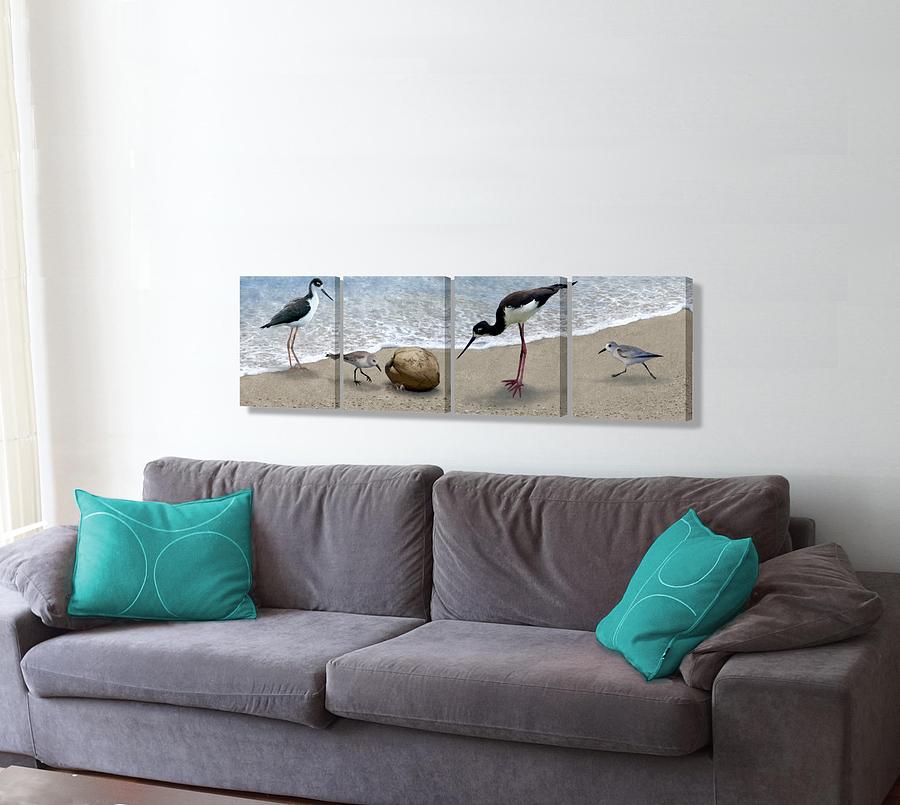 Birds and a Crab on the wall Digital Art by Stephen Jorgensen