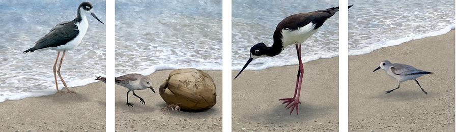 Birds and a Crab Digital Art by Stephen Jorgensen