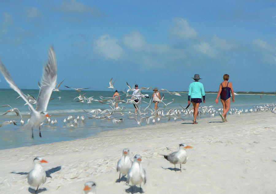 Birds and Beach 2 Digital Art by Susan Stone