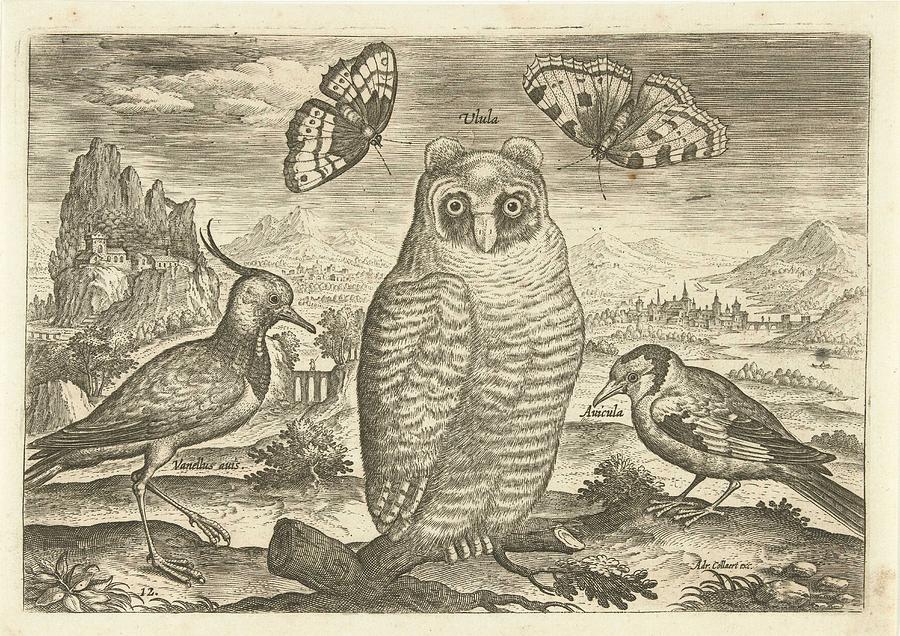 Birds And Butterflies In A Landscape, Adriaen Collaert, 1598 - 1602 Painting