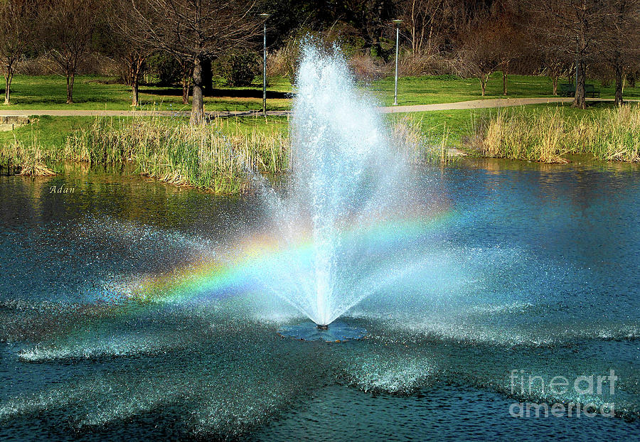 Birds and Fun at Butler Park Austin Rainbow Fountain Photograph by Felipe Adan Lerma