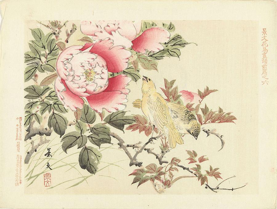 Birds and peonies, Matsumura Keibun, 1892 Painting by Celestial Images