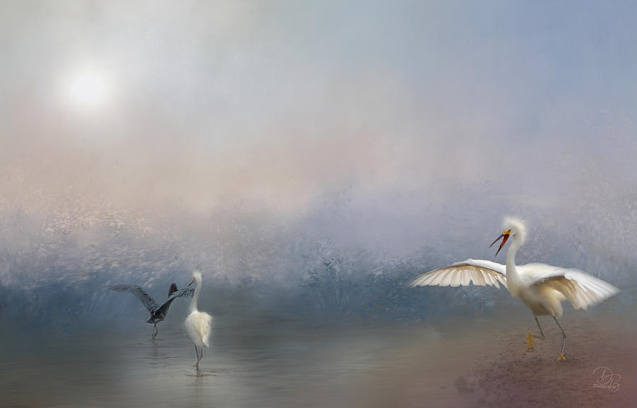Birds and Sea Photograph by Debra Boucher