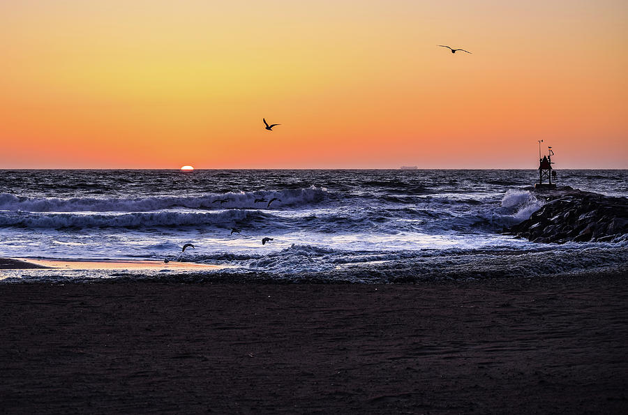 Birds at Sunrise Photograph by Nicole Lloyd