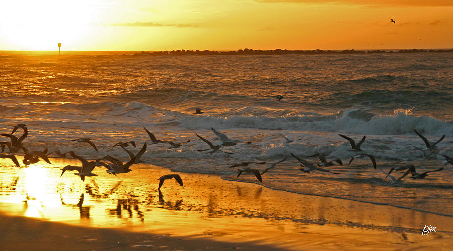 Birds At Sunrise Photograph by Phil Mancuso