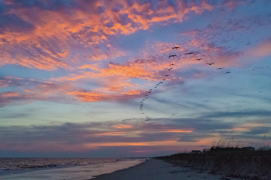 Birds at Sunset Photograph by Joe Kopp