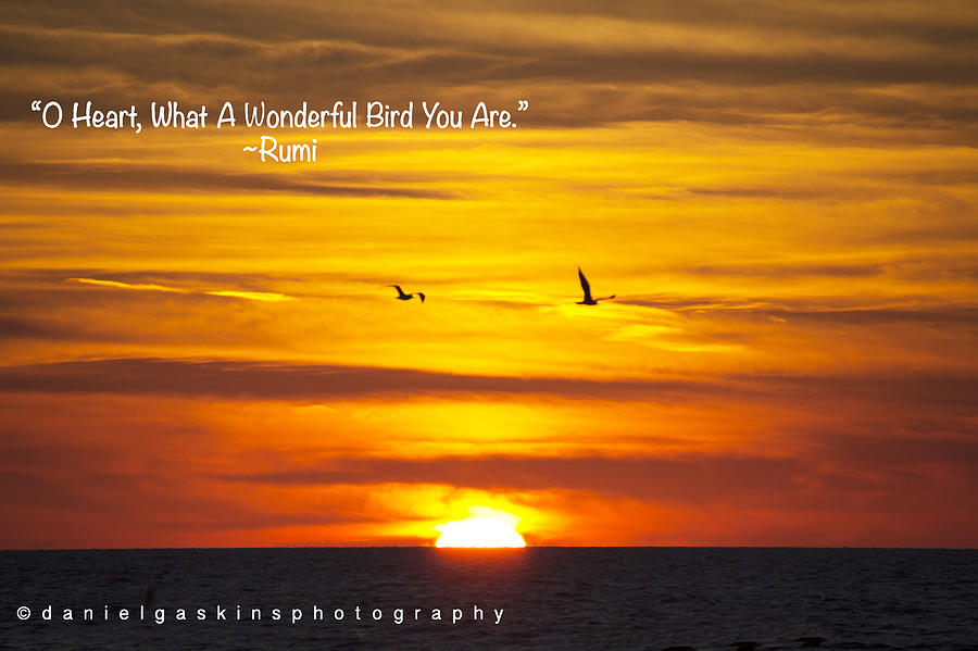 Birds at Sunset with Rumi quote Photograph by Daniel Gaskins - Pixels