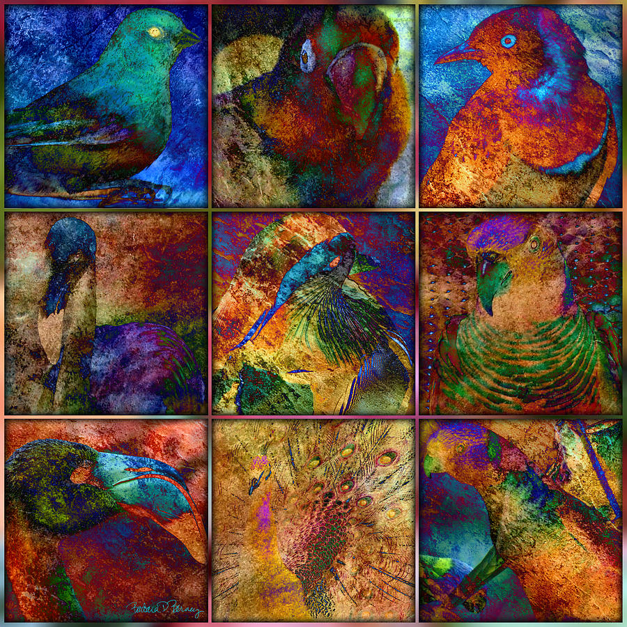 Birds Digital Art by Barbara Berney