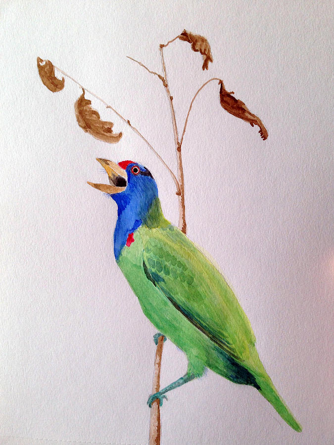 Bird Painting - Birds BlueThroated Barbet by S S Cheema