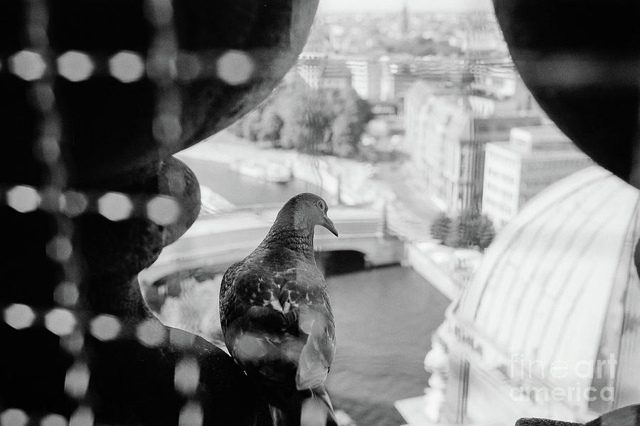 Birds Eye View of Berlin Photograph by Dean Harte