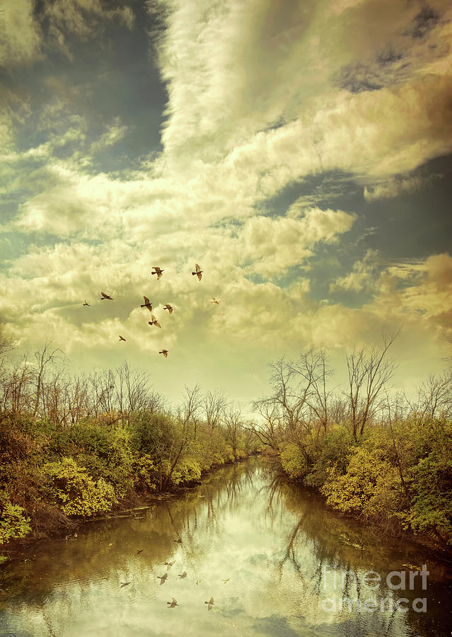 Birds Flying over a River Photograph by Jill Battaglia