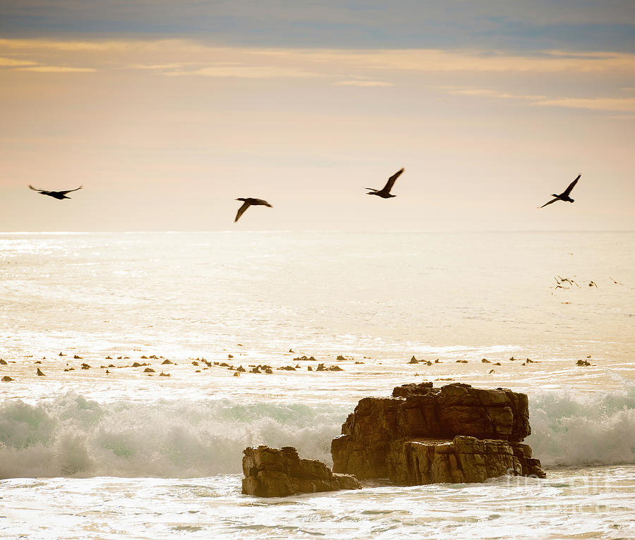 Birds Flying Over Ocean Photograph by THP Creative
