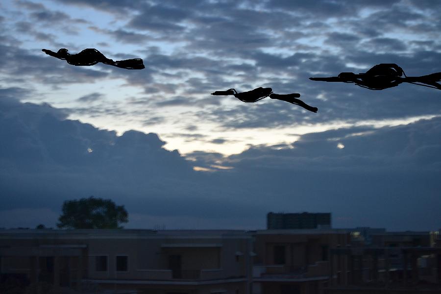 Birds In Between Clouds Photograph by Anand Swaroop Manchiraju
