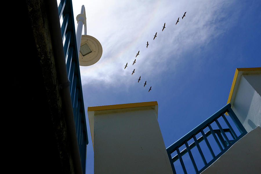 Birds In Formation Over The Boardwalk At Daytona Beach Florida by John McLenaghan Birds In Formation Over The Boardwalk At Daytona Beach Florida by John McLenaghan
