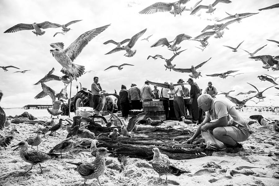 Seagull Photograph - Birds by Liesbeth Van Der Werf