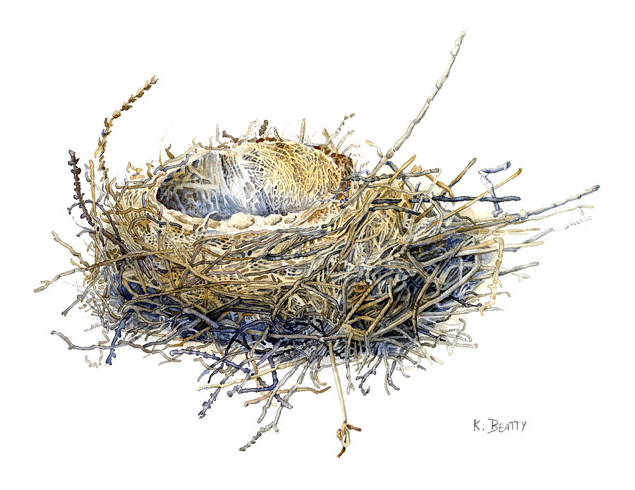 Watercolor Painting - Birds Nest Watercolor Painting by Karla Beatty