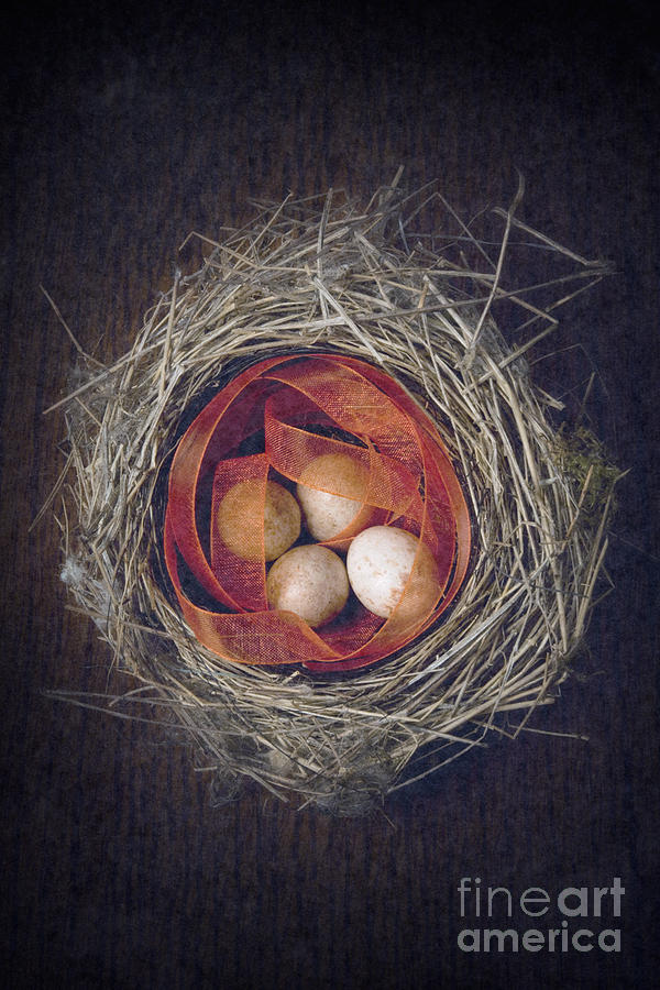 Birds nest with eggs and ribbon Photograph by Clayton Bastiani