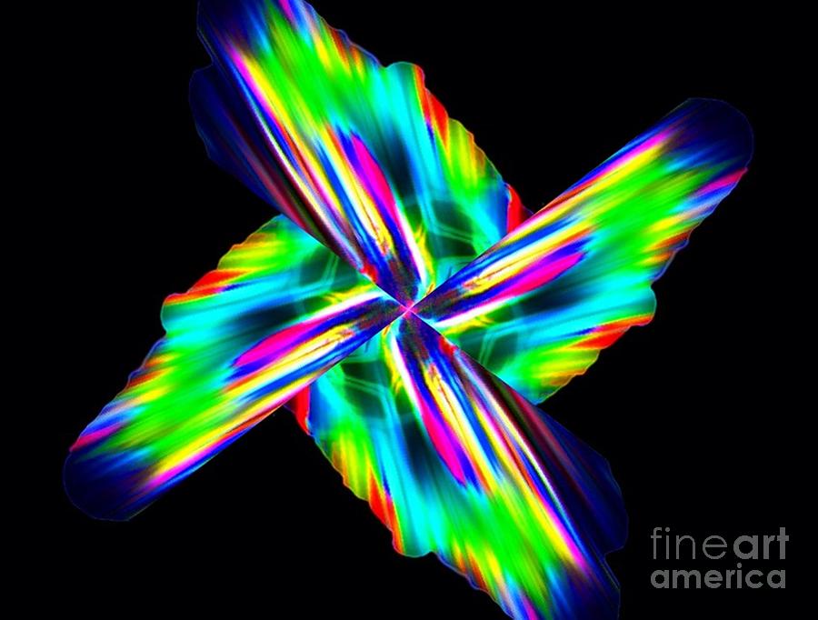Abstract Digital Art - Birds Of A Feather by Lorles Lifestyles Abstract Digital Art - Birds Of A Feather by Lorles Lifestyles