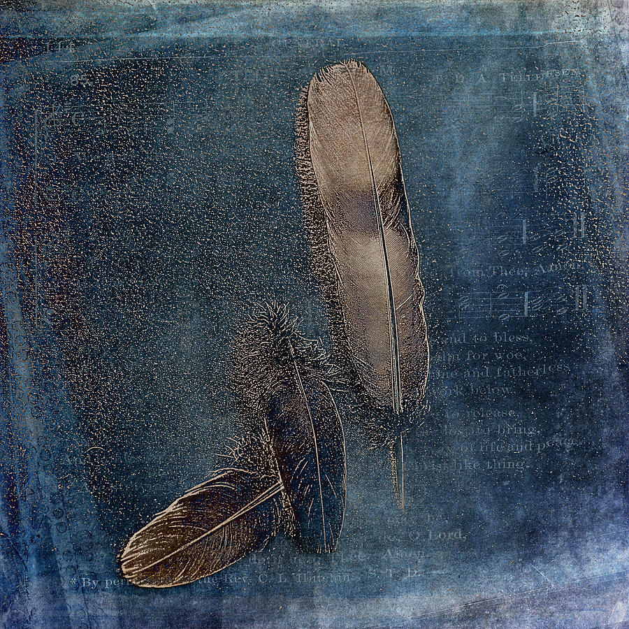 Birds of a Feather Photograph by Randi Grace Nilsberg