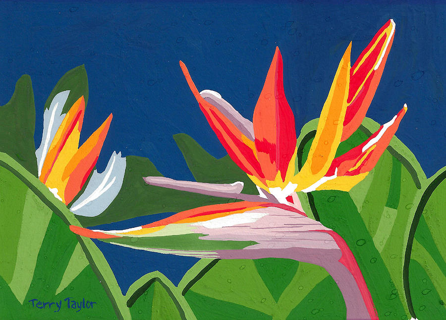 Birds of Paradise Painting by Terry Taylor