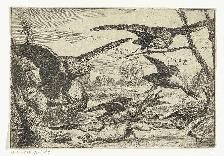 Birds Of Prey, Peeter Boel, 1800 - 1900 Painting