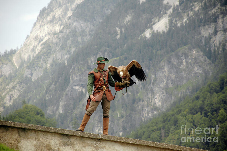 Birds Of Prey Show Photograph By Yael Rosen - Fine Art America