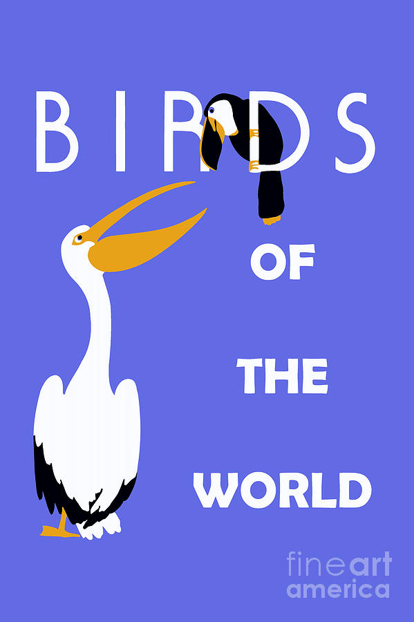 Birds of the world Drawing by Heidi De Leeuw