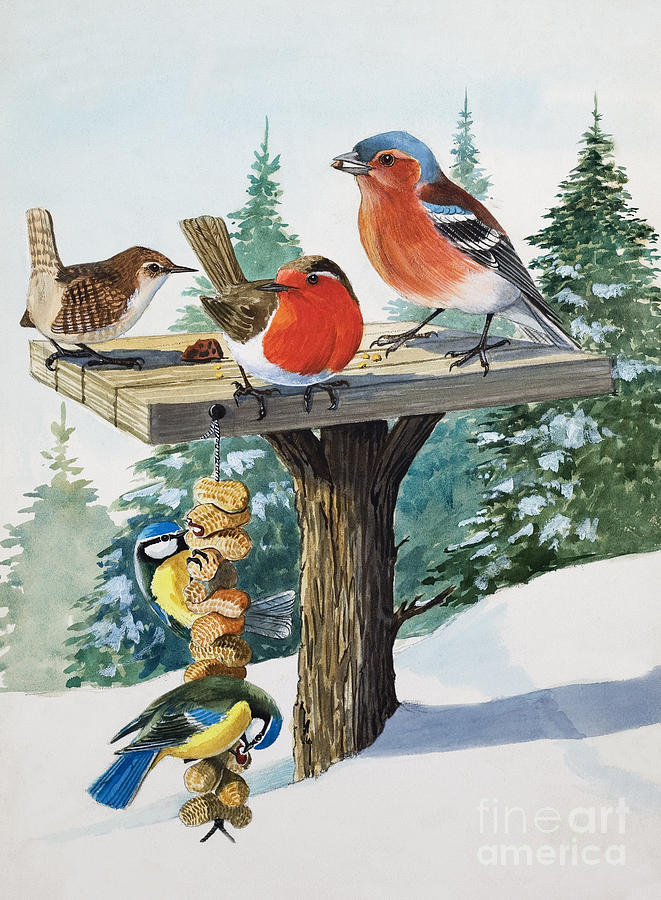 birds on bird table