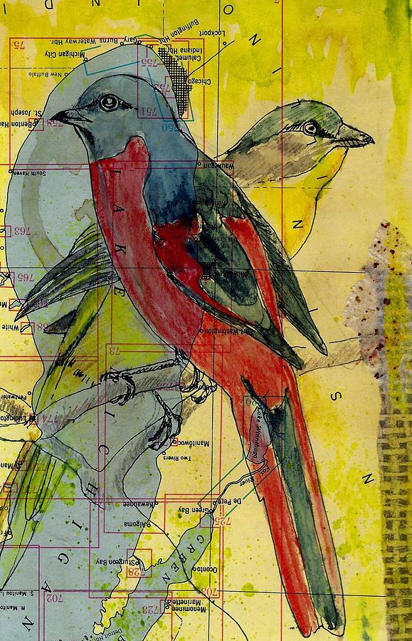 Birds on a Map by Jillian Goldberg Birds on a Map by Jillian Goldberg