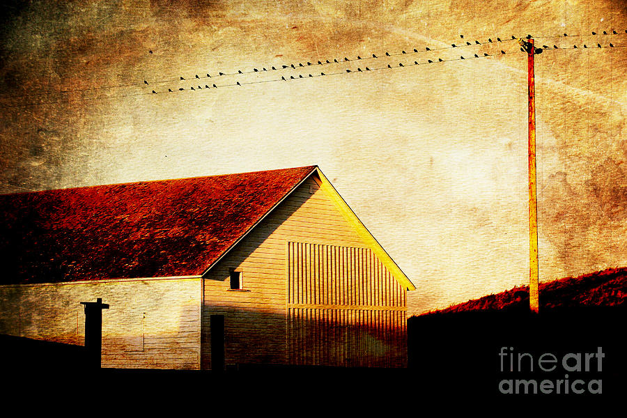 Birds On A Wire . Photoart Photograph by Wingsdomain Art and Photography