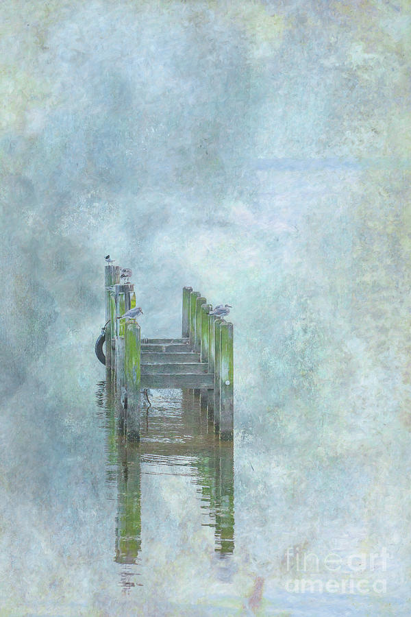 Birds on Abandoned Dock Digital Art by Randy Steele