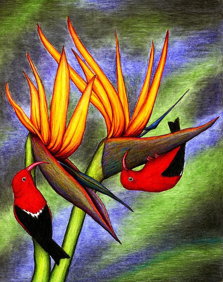 Bird Drawing - Birds on Birds by Don McMahon