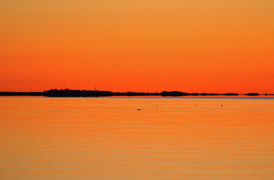 Birds Out On The Lake At Sunrise  Photograph by Lyle Crump