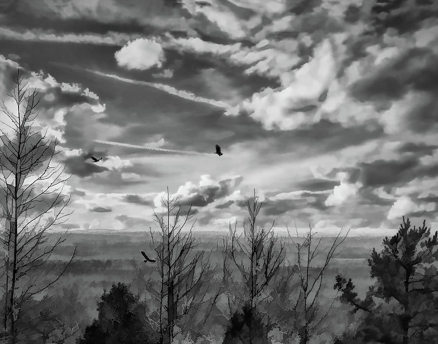 Birds Over the Valley Photograph by Thomas Fields