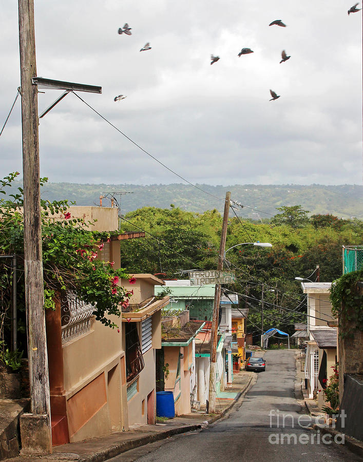 Birds Over Yabucoa Photograph by Cheryl Del Toro