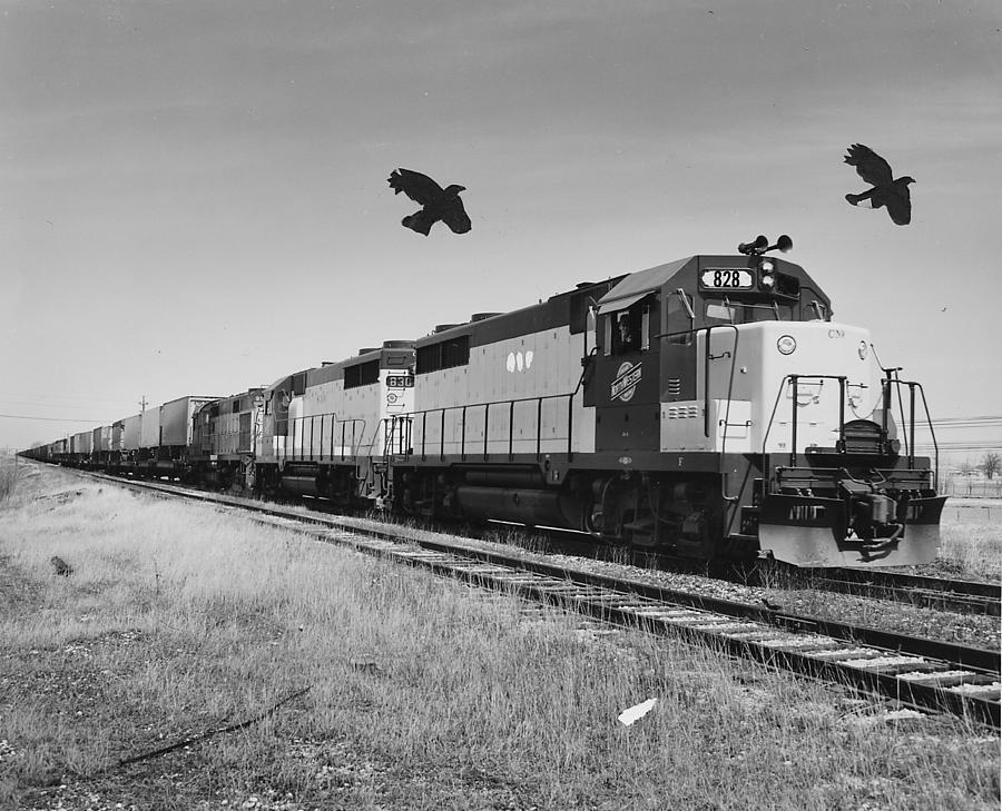 Birds Pass Chicago and North Western Train  Photograph by Chicago and North Western Historical Society