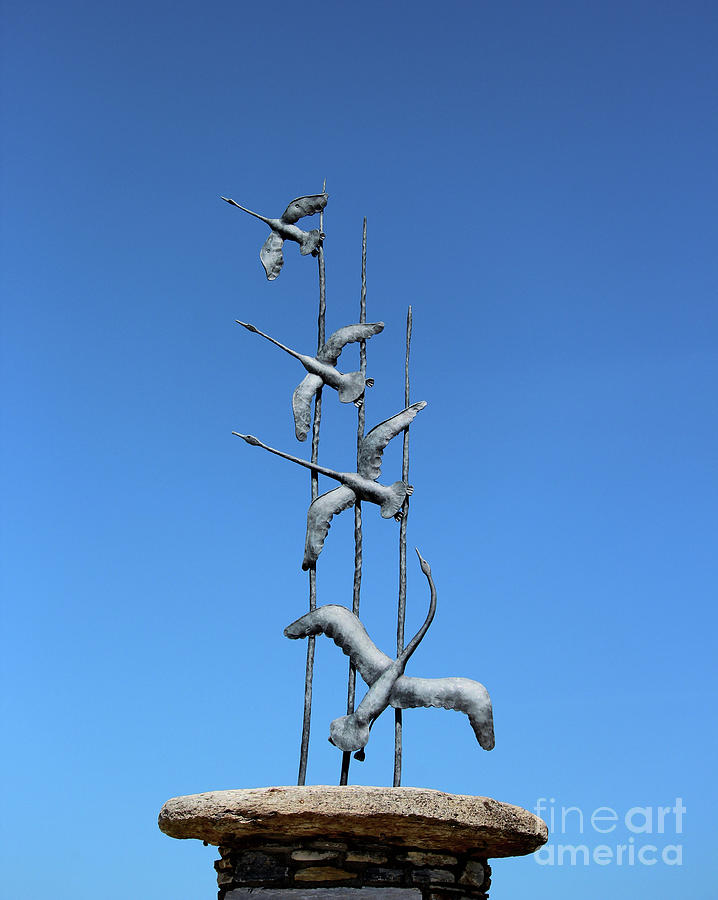Birds Sculpture Killahoey Donegal Photograph by Eddie Barron
