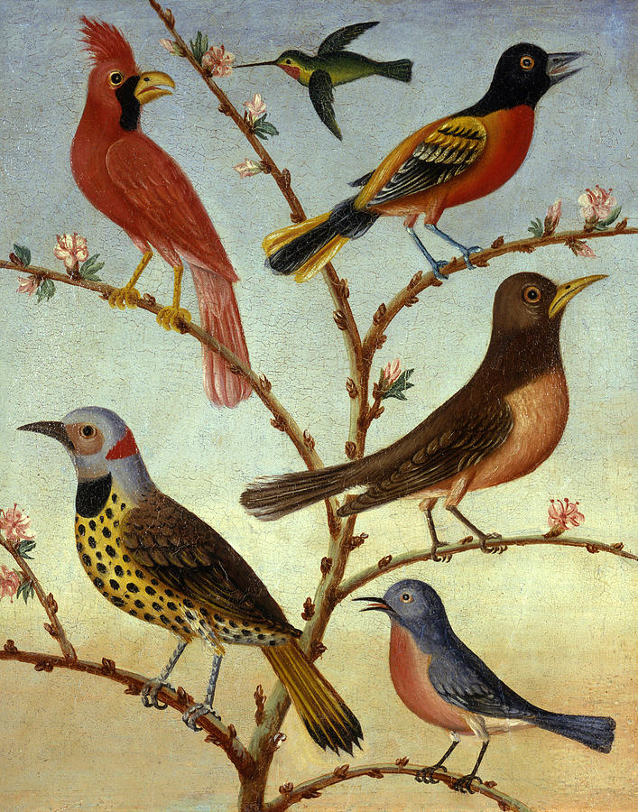 Birds Painting by Thomas Coke Ruckle