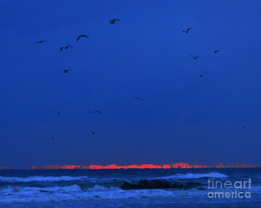 Seascape with hot pink dawn Photograph by Julianne Felton