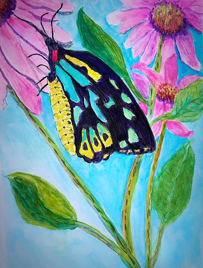 Birdwing Butterfly Painting by Anne Sands
