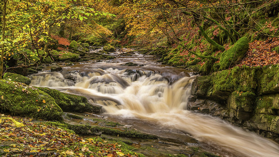 Birks o Aberfeldy Photograph by George Robertson - Fine Art America