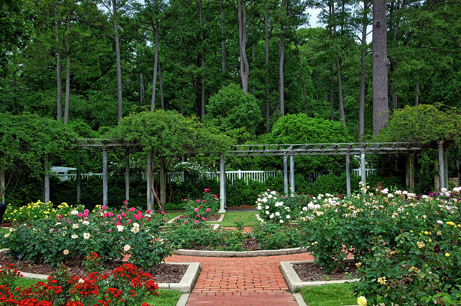 Birmingham Botanical Gardens Photograph by Mountain Dreams - Fine Art ...