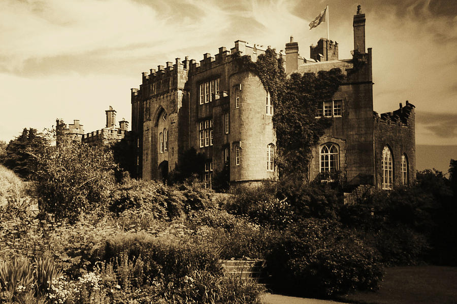 Birr Castle Demesne Photograph by Martina Fagan